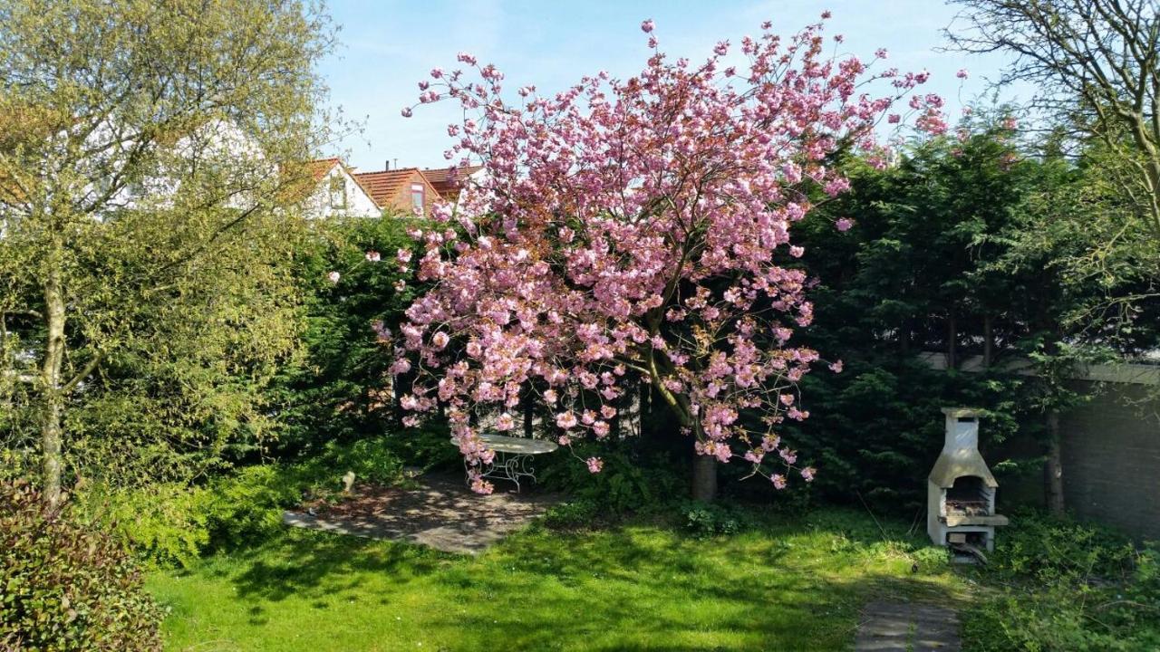 Kapiteinshuis Breskens Esterno foto